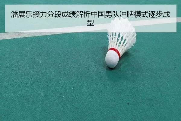 潘展乐接力分段成绩解析中国男队冲牌模式逐步成型